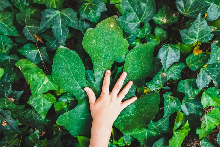 Interesting Ways To Study Climate Change Interesting Ways To Study Climate Change